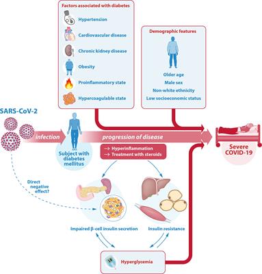 COVID-19 and Diabetes: Understanding the Interrelationship and Risks for a Severe Course